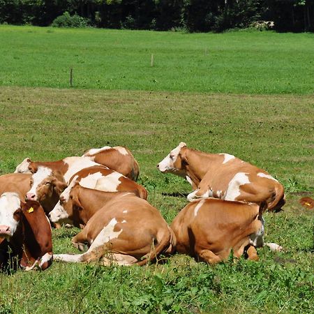 Ferienwohnung Dichtlbauer Sankt Gilgen Exteriér fotografie
