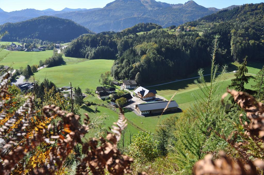 Ferienwohnung Dichtlbauer Sankt Gilgen Exteriér fotografie